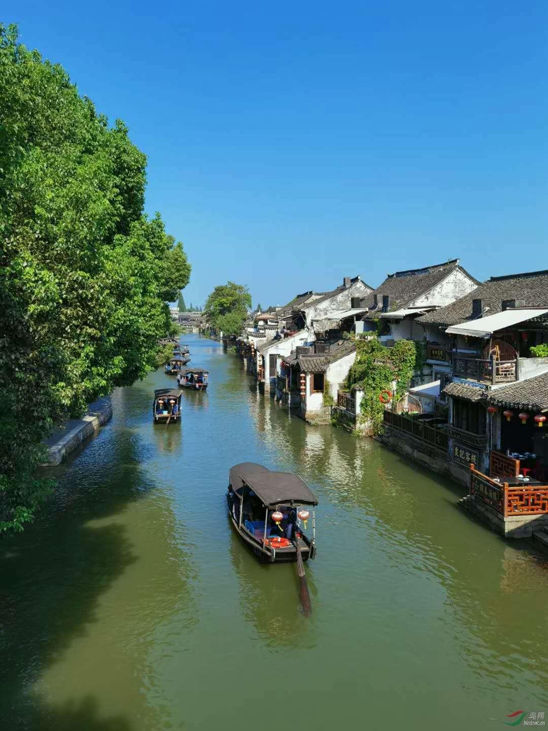 亚马逊澳大利亚2020年消费品包含纽扣电池安全标准ACCC
